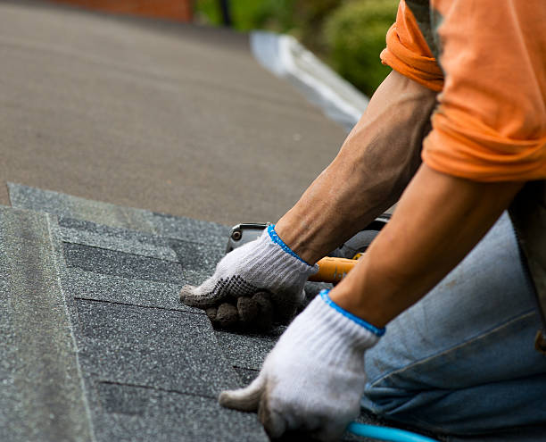 Best Flat Roof Repair Services  in USA